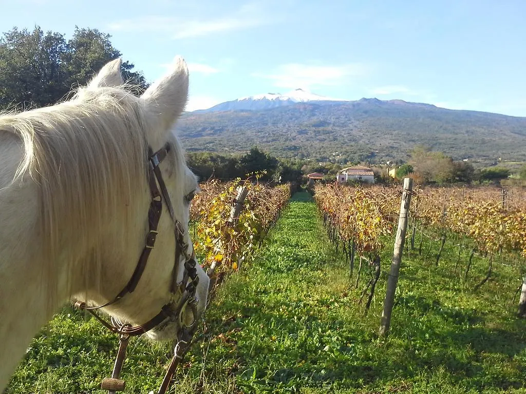 카스티글리오네디시칠리아 Azienda Agrituristica San Marco 빌라